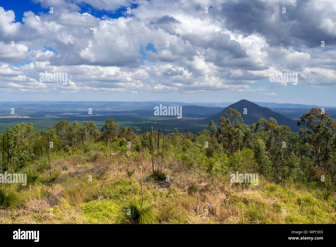 Glasshouse Mountains Queensland Australien Landschaft Stockfoto