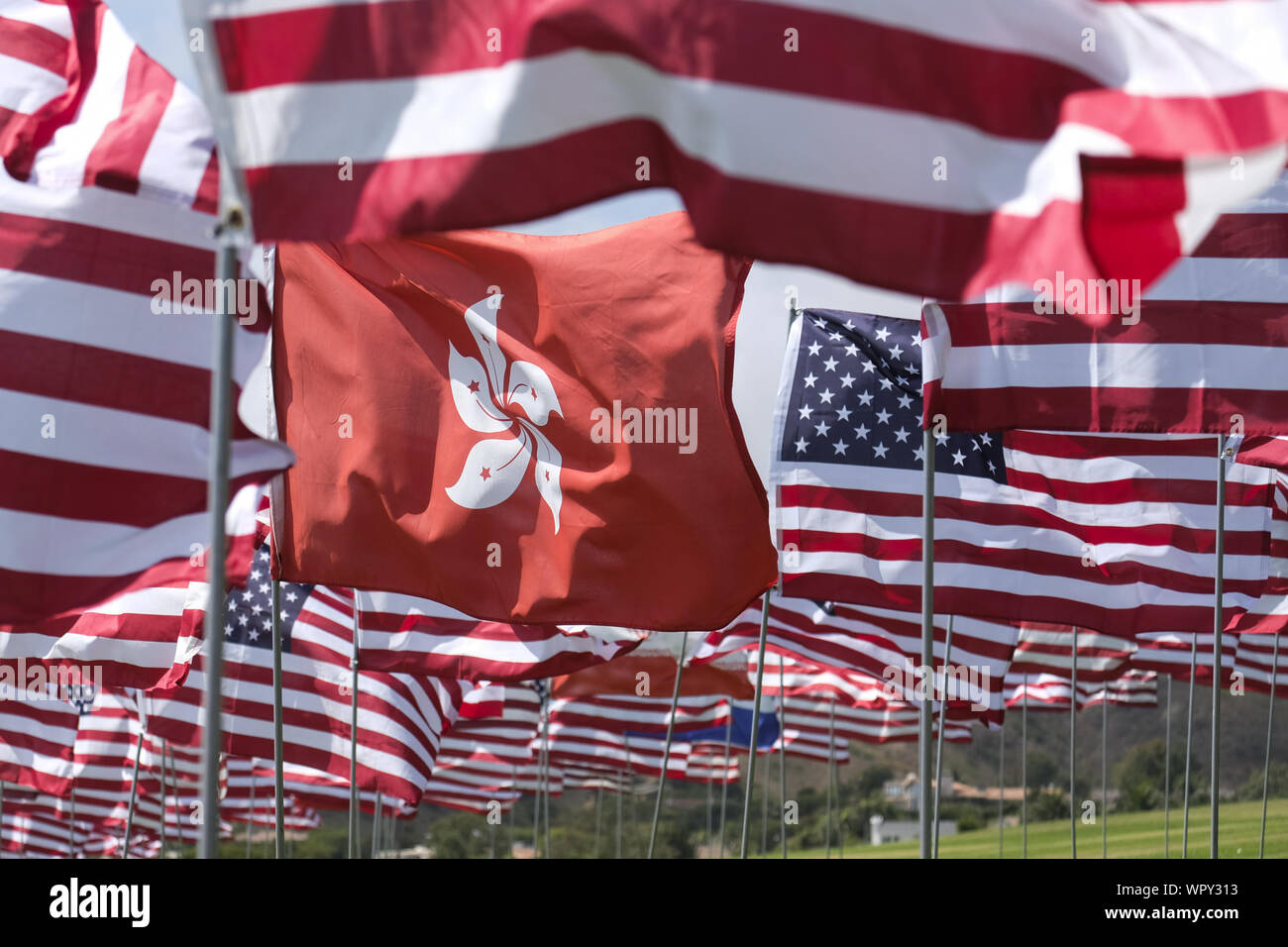 Los Angeles, Kalifornien, USA. 9 Sep, 2019. Ein Hong Kongl Flagge Wellen im Wind unter 3.000 von uns Fahnen auf der Pepperdine Universität den 18. Jahrestag der 9/11 Terroranschlag zu markieren, 9. September 2019 in Malibu, Kalifornien. Credit: Ringo Chiu/ZUMA Draht/Alamy leben Nachrichten Stockfoto