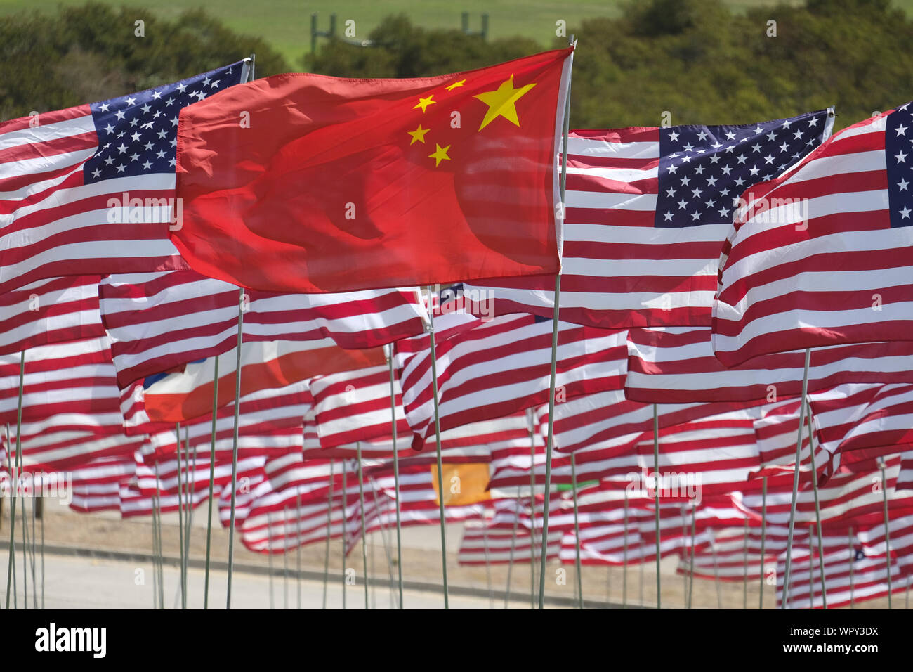 Los Angeles, Kalifornien, USA. 9 Sep, 2019. Eine chinesische Nationalflagge Wellen im Wind unter 3.000 von uns Fahnen auf der Pepperdine Universität den 18. Jahrestag der 9/11 Terroranschlag zu markieren, 9. September 2019 in Malibu, Kalifornien. Credit: Ringo Chiu/ZUMA Draht/Alamy leben Nachrichten Stockfoto