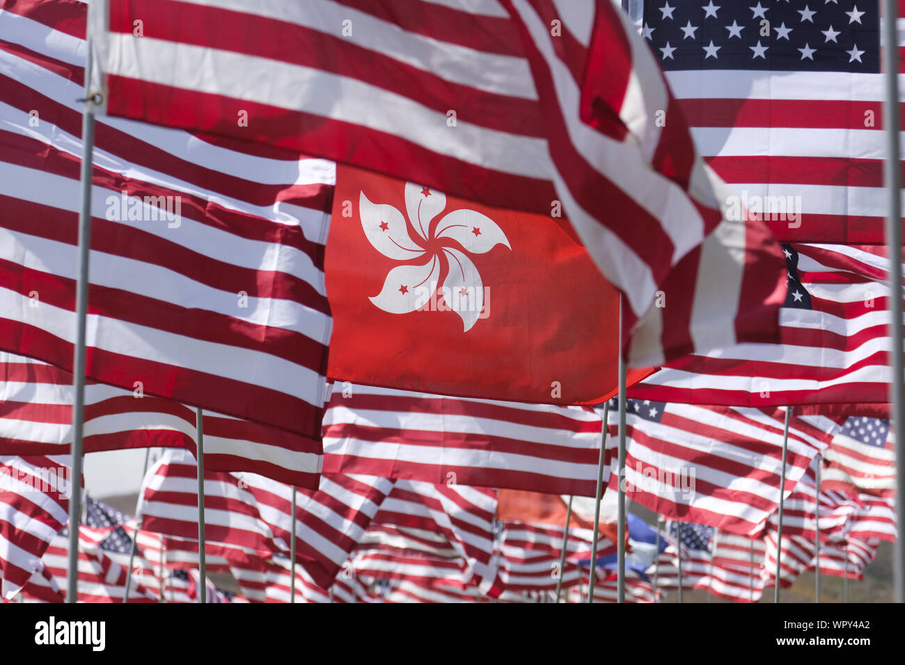 Los Angeles, Kalifornien, USA. 9 Sep, 2019. Ein Hong Kongl Flagge Wellen im Wind unter 3.000 von uns Fahnen auf der Pepperdine Universität den 18. Jahrestag der 9/11 Terroranschlag zu markieren, 9. September 2019 in Malibu, Kalifornien. Credit: Ringo Chiu/ZUMA Draht/Alamy leben Nachrichten Stockfoto