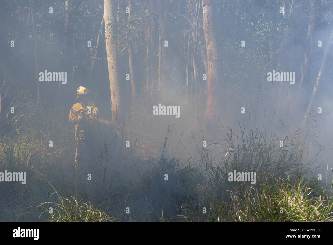 Feuerwehrleute kämpfen ein Waldbrand Stockfoto