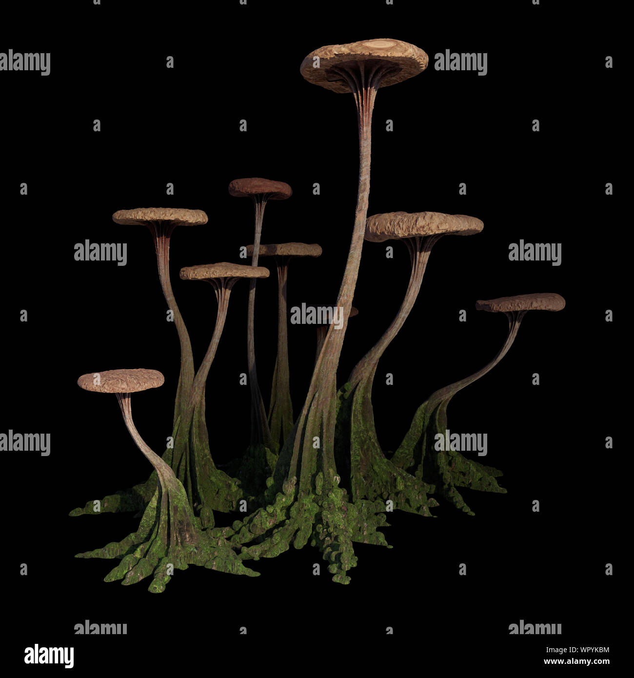 Pilze, Seltsame ausserirdische Pilz auf schwarzem Hintergrund Stockfoto