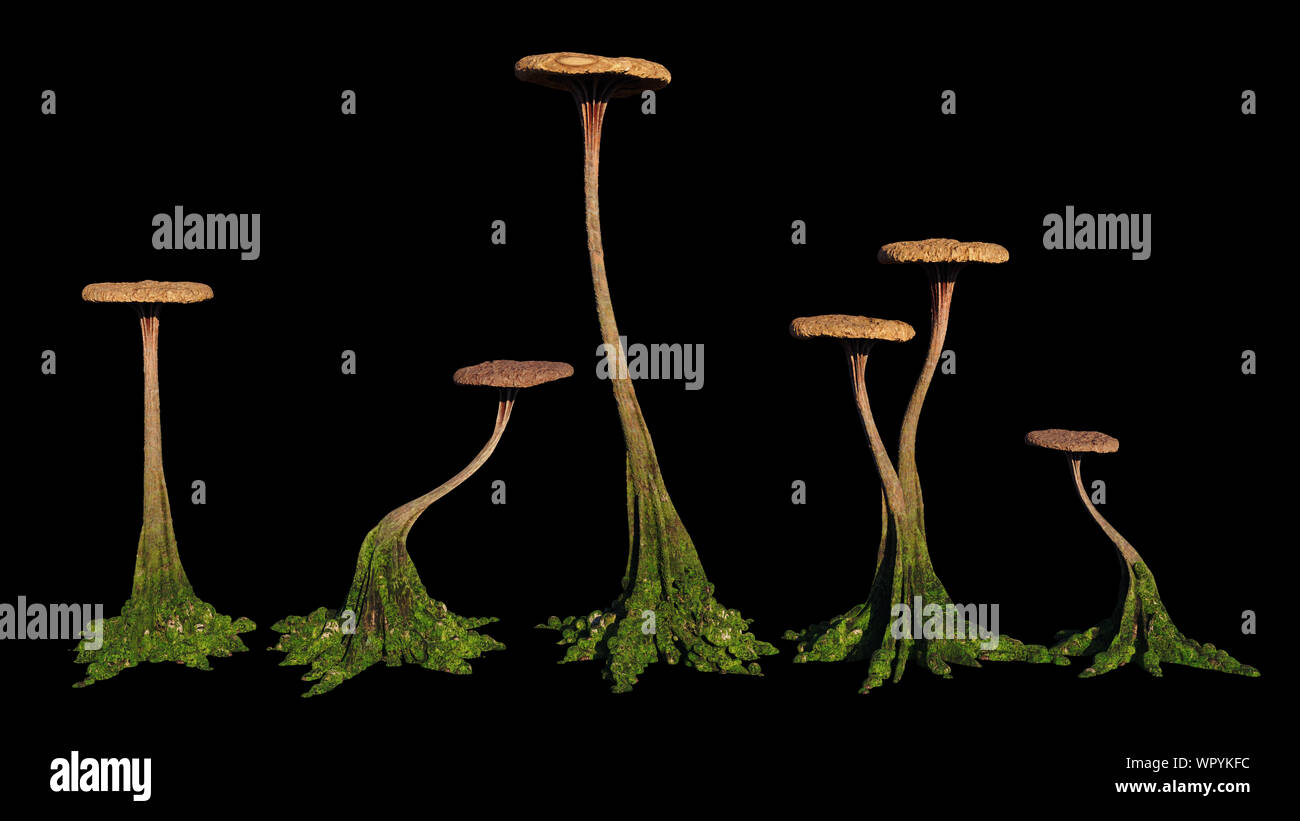Pilze, Seltsame ausserirdische Pilz auf schwarzem Hintergrund Stockfoto