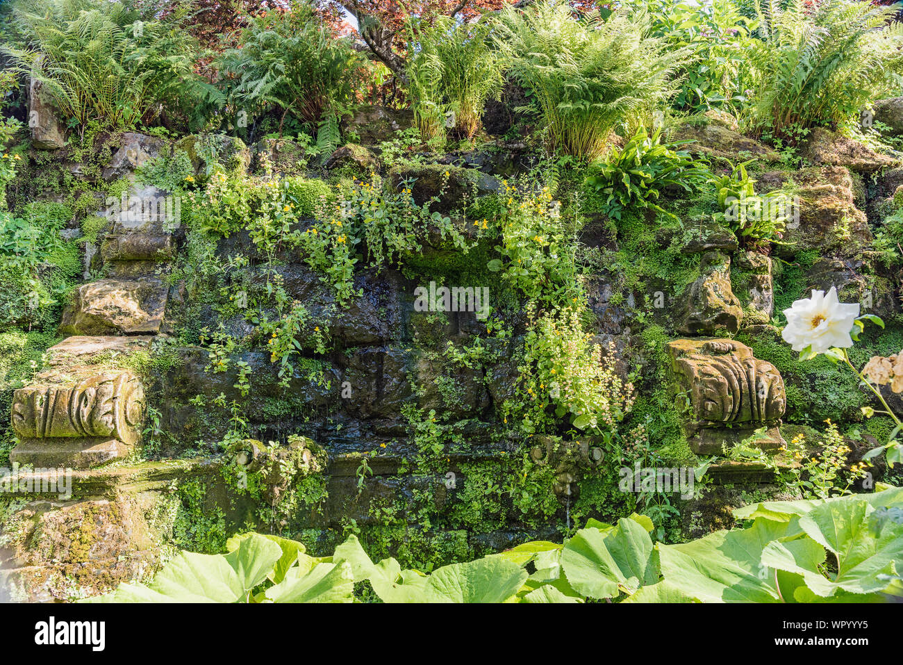 Schattigen Grotten-italienischen Garten, Hever Castle, Großbritannien Stockfoto