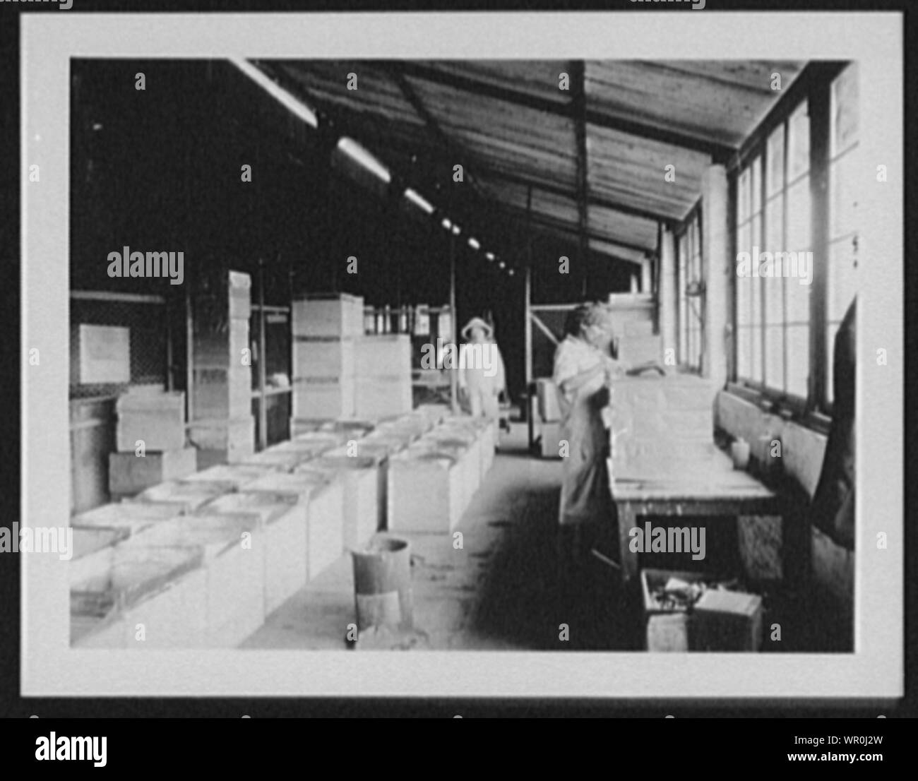 Maria Watta Tea Factory Szene - Löten und das Packen der Kartons Stockfoto