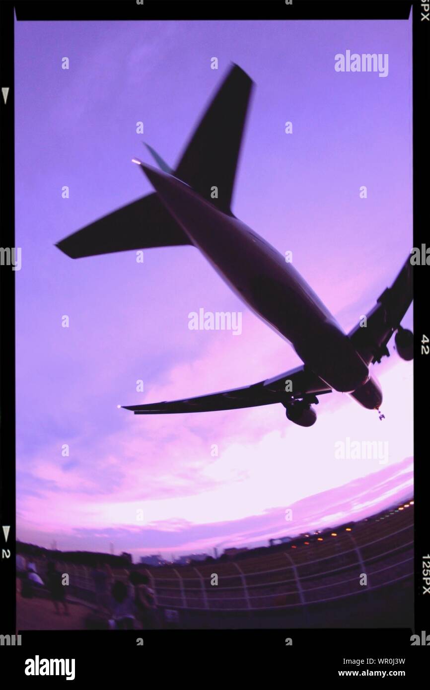 Kommerziellen Flugzeug Landung Stockfoto