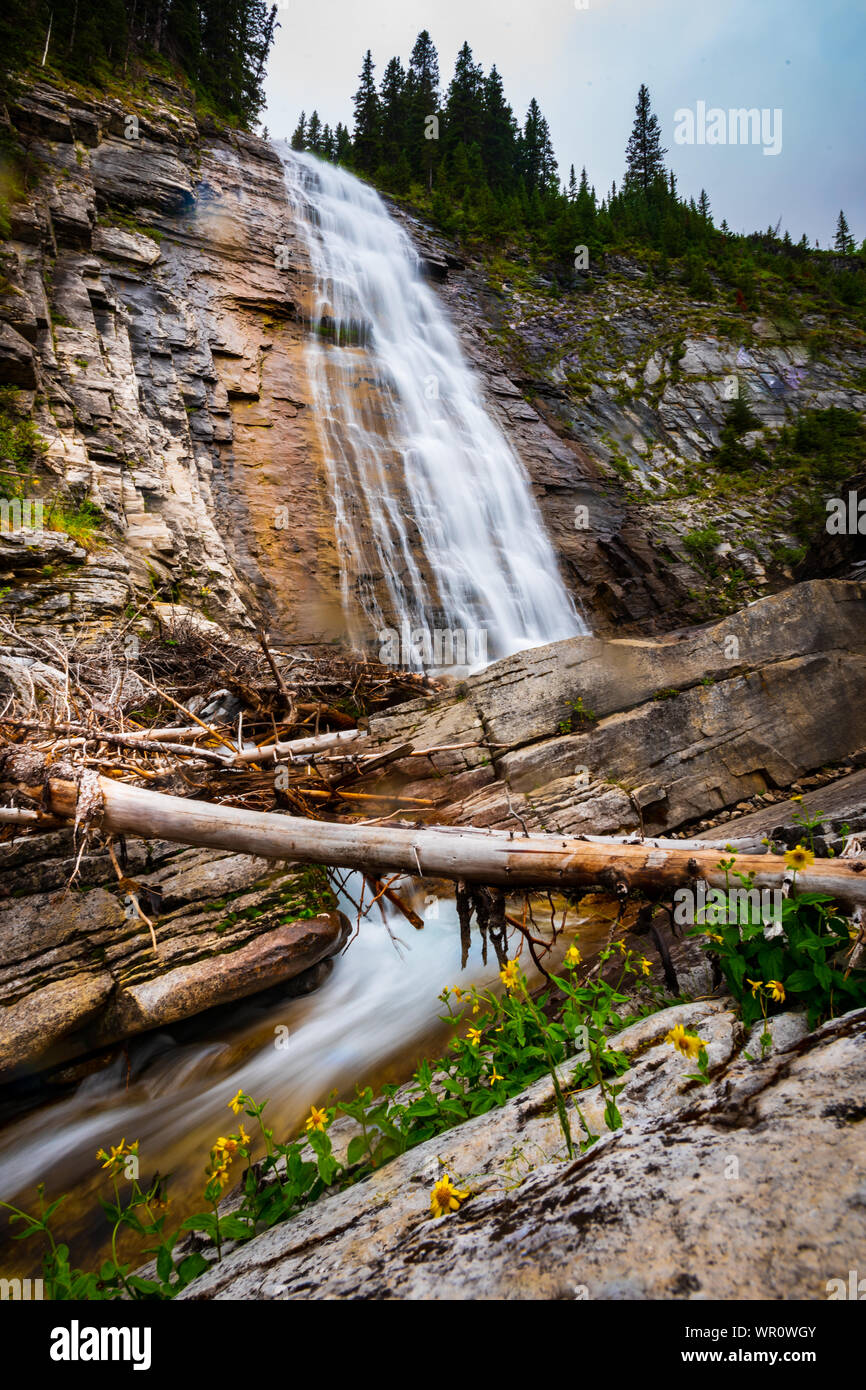Malerischen Wasserfall und Mountain Creek durch den Wald laufen. Ribbon Falls Wanderweg Kananaskis Country Alberta Kanada Stockfoto