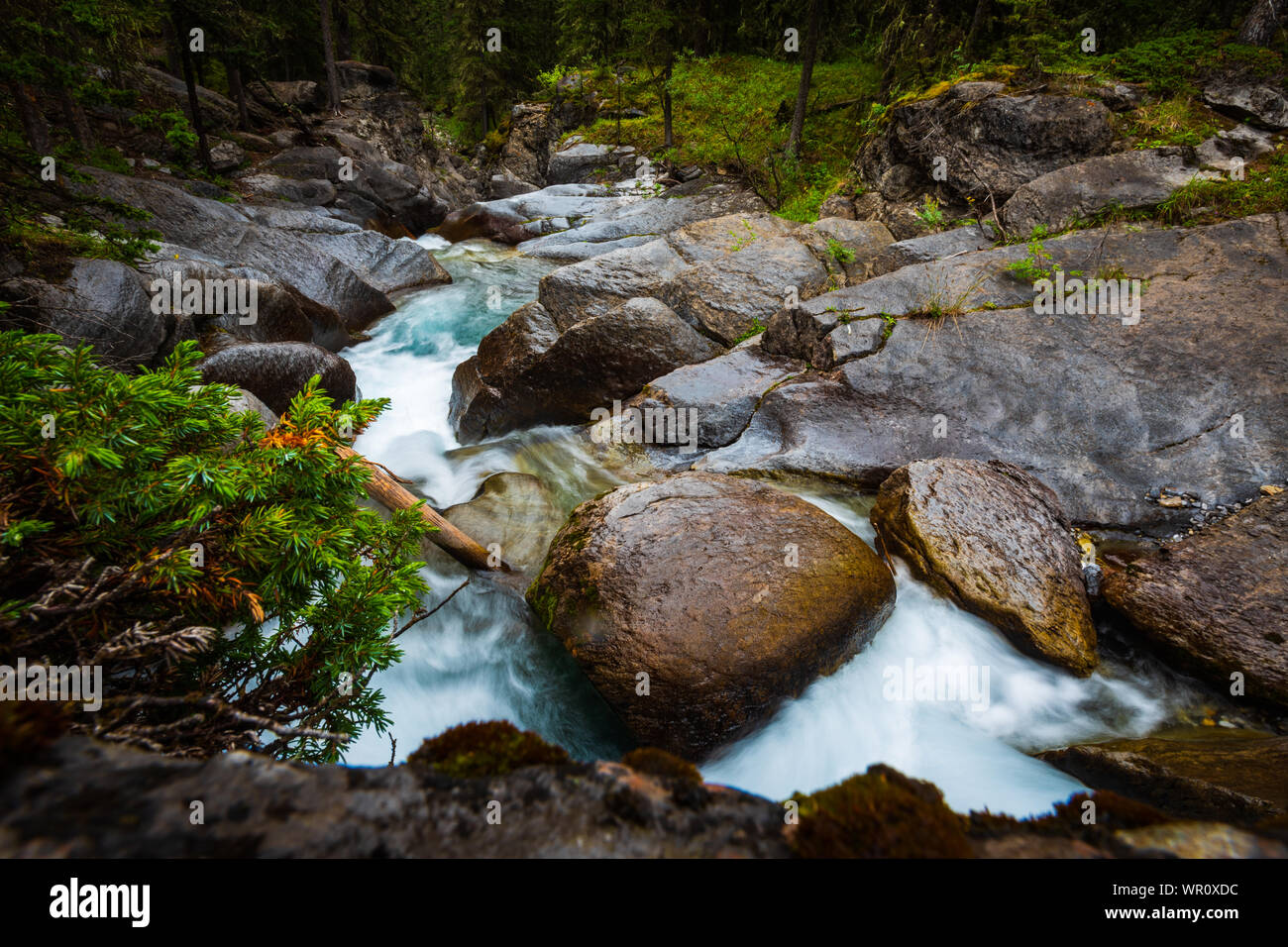 Malerischen Wasserfall und Mountain Creek durch den Wald laufen. Ribbon Falls Wanderweg Kananaskis Country Alberta Kanada Stockfoto