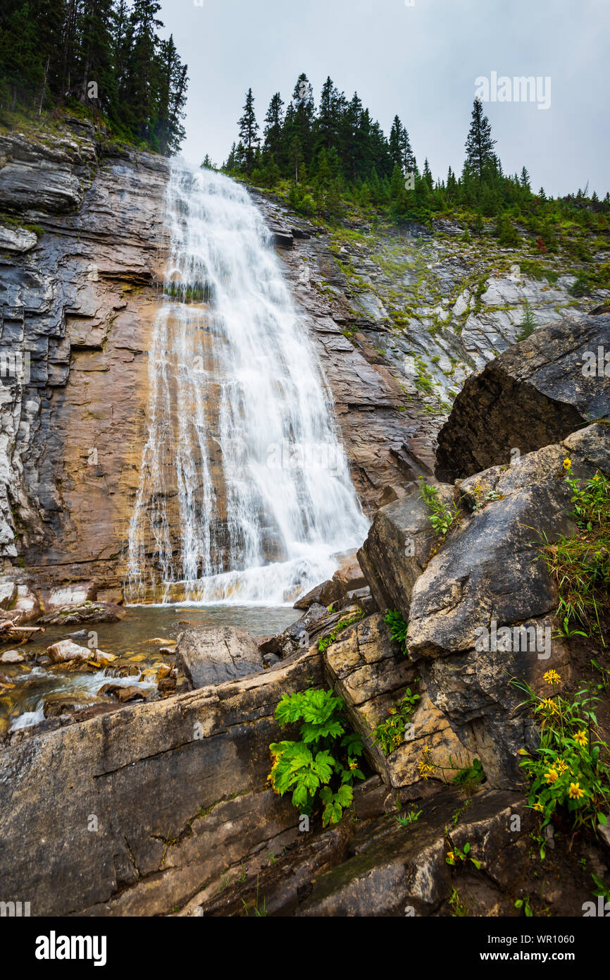 Malerischen Wasserfall und Mountain Creek durch den Wald laufen. Ribbon Falls Wanderweg Kananaskis Country Alberta Kanada Stockfoto