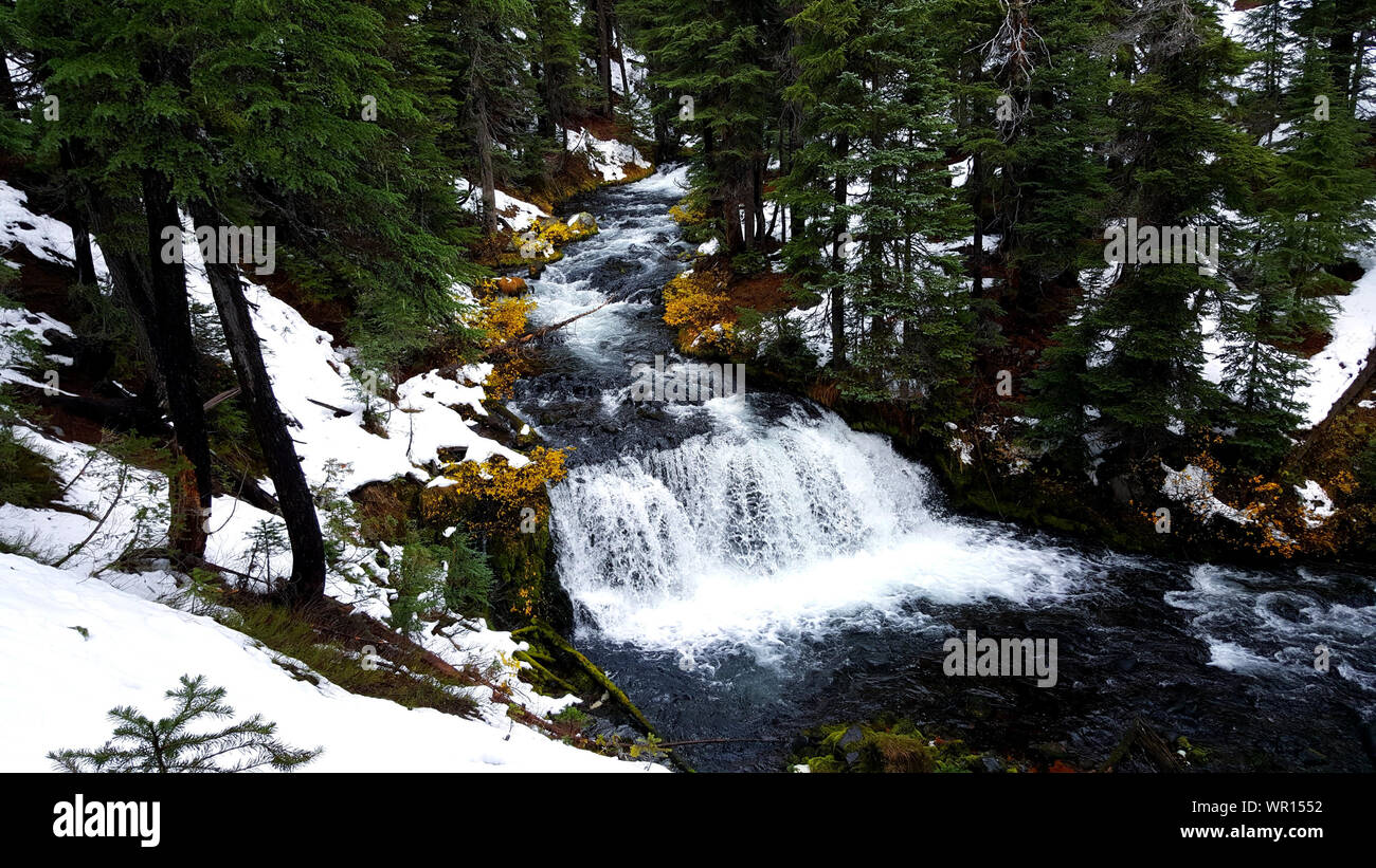 Ein früher Schnee kommt zum Mt. Bachelor, Oregon Stockfoto