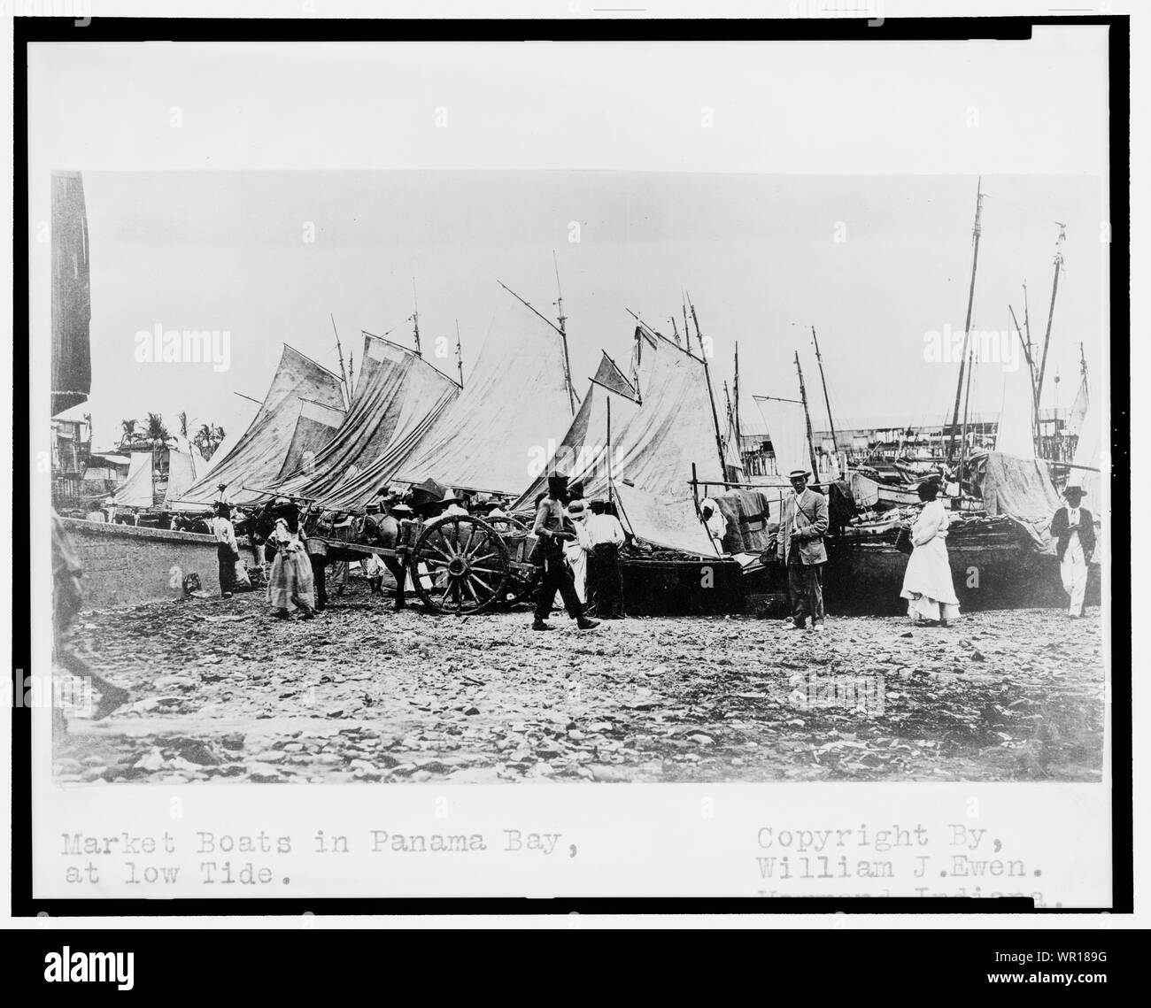 Markt Boote in Panama Bay, bei Ebbe Stockfoto
