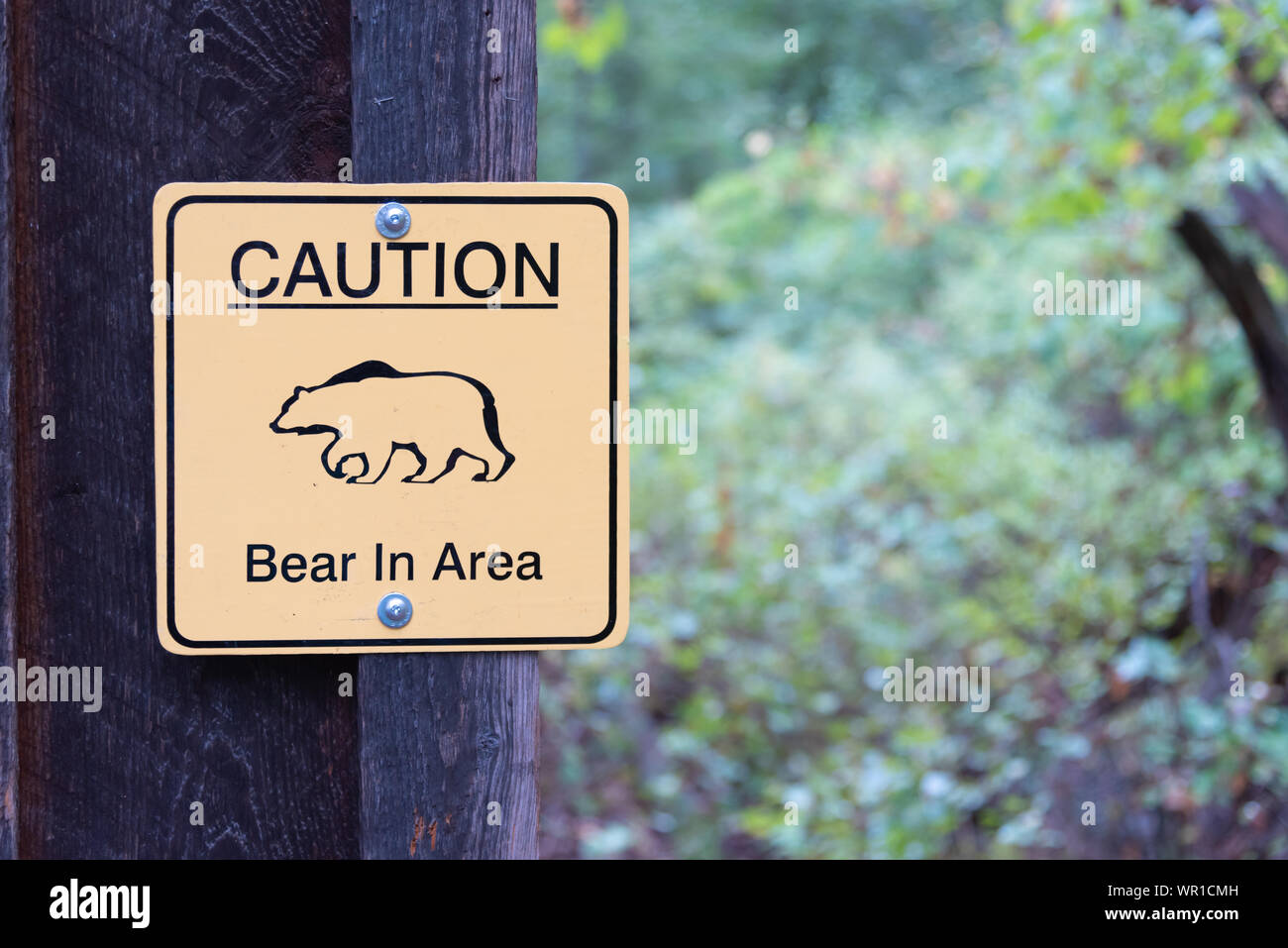 Fintry, British Columbia, Kanada - 9. September 2019: Schild Warnung der Bevölkerung ein Bär in der Nähe Wandern beschmutzt worden ist Trails im Fintry Provincial Park Stockfoto