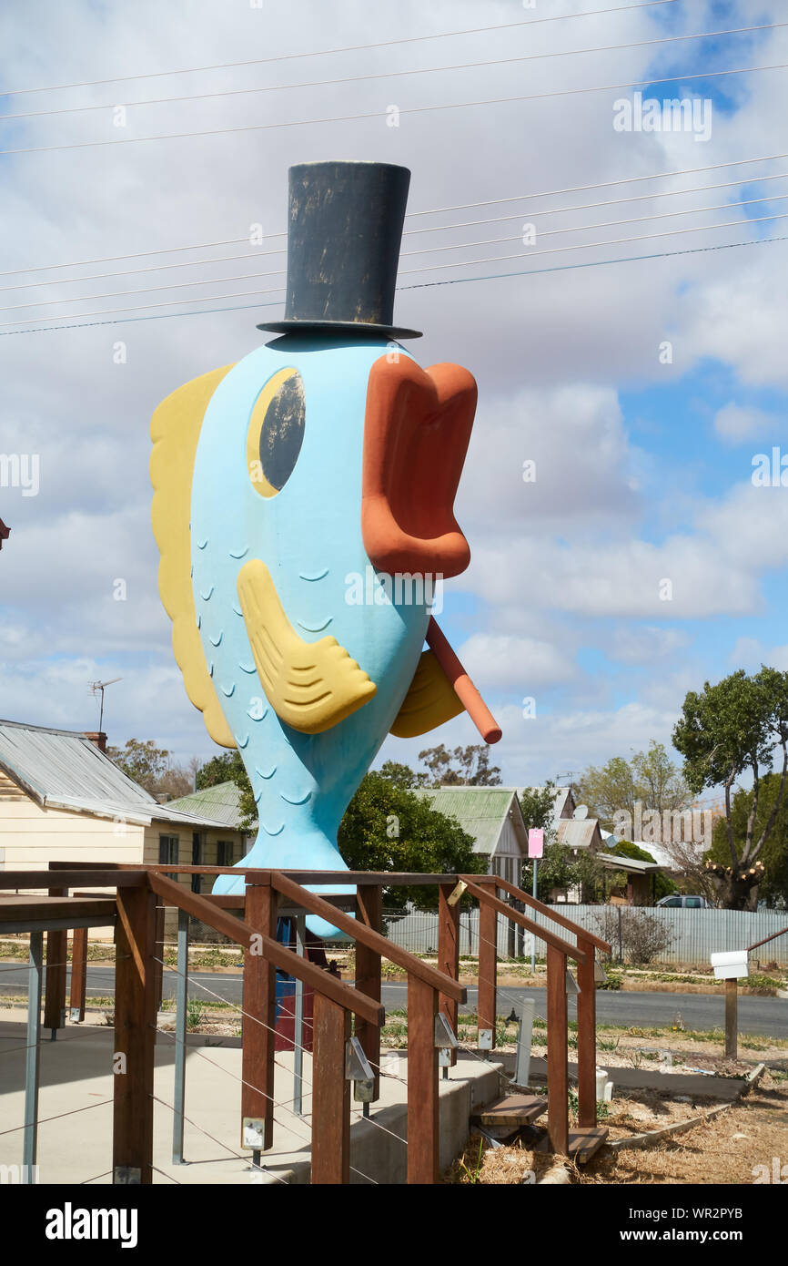 Die großen Fische an Manilla NSW Australien. Stockfoto