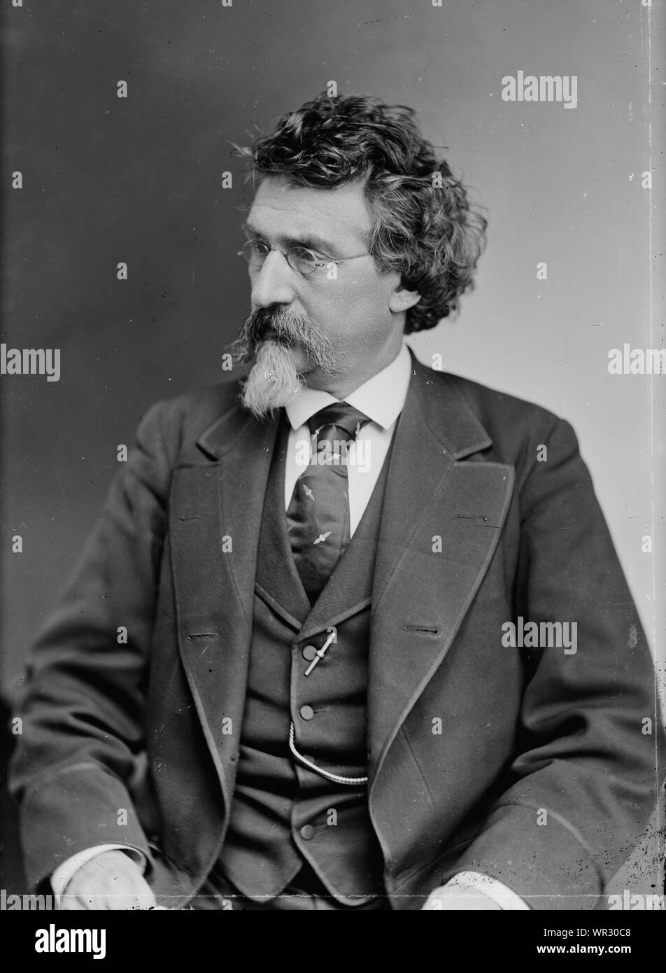 Mathew Brady ca. 1875 Stockfoto