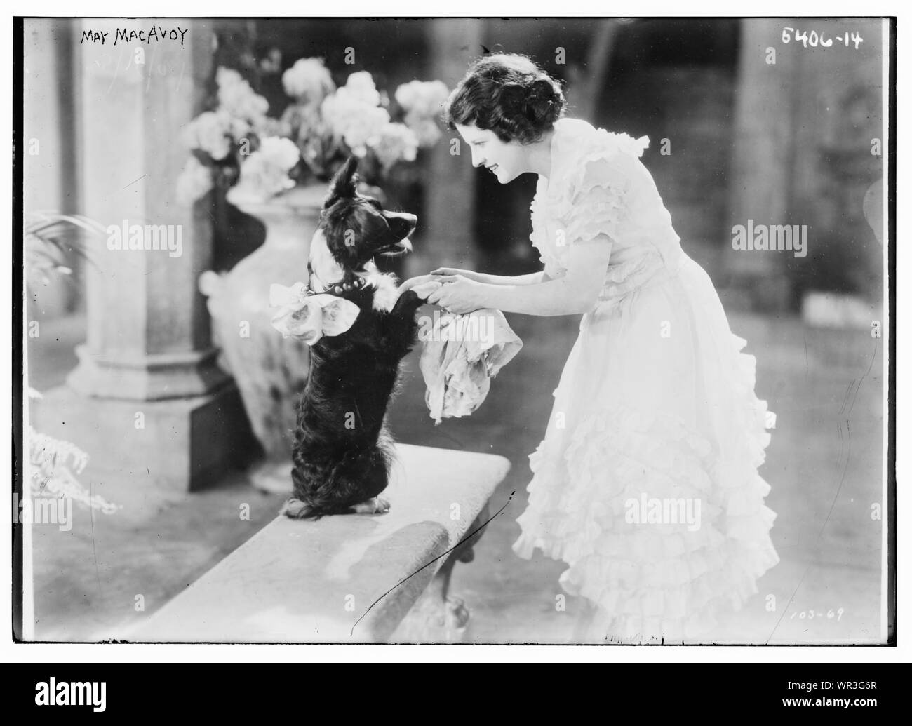 Mai MacAvoy Stockfoto