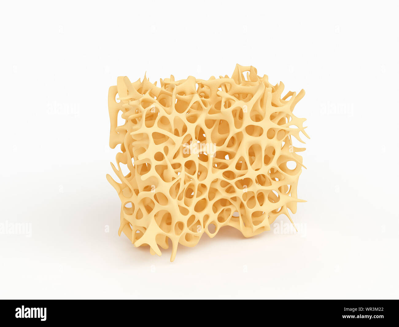 Ein Stück Knochen schwammartige Struktur close-up, die Beschaffenheit der Knochen mit Osteoporose auf Weiß, 3D-Illustration isoliert Stockfoto