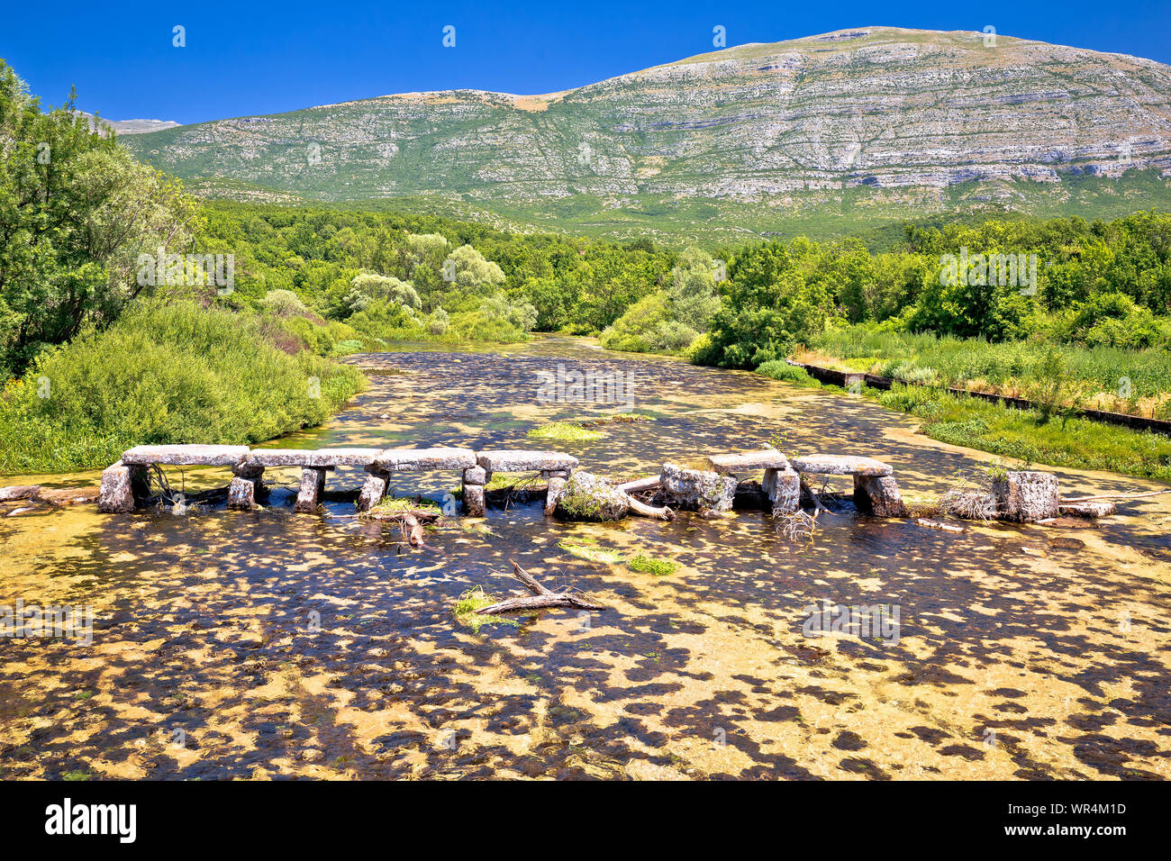 Der Fluss Cetina in der Nähe von Quelle old stone bridge View, Landschaft der dalmatinischen Zagora Region von Kroatien Stockfoto