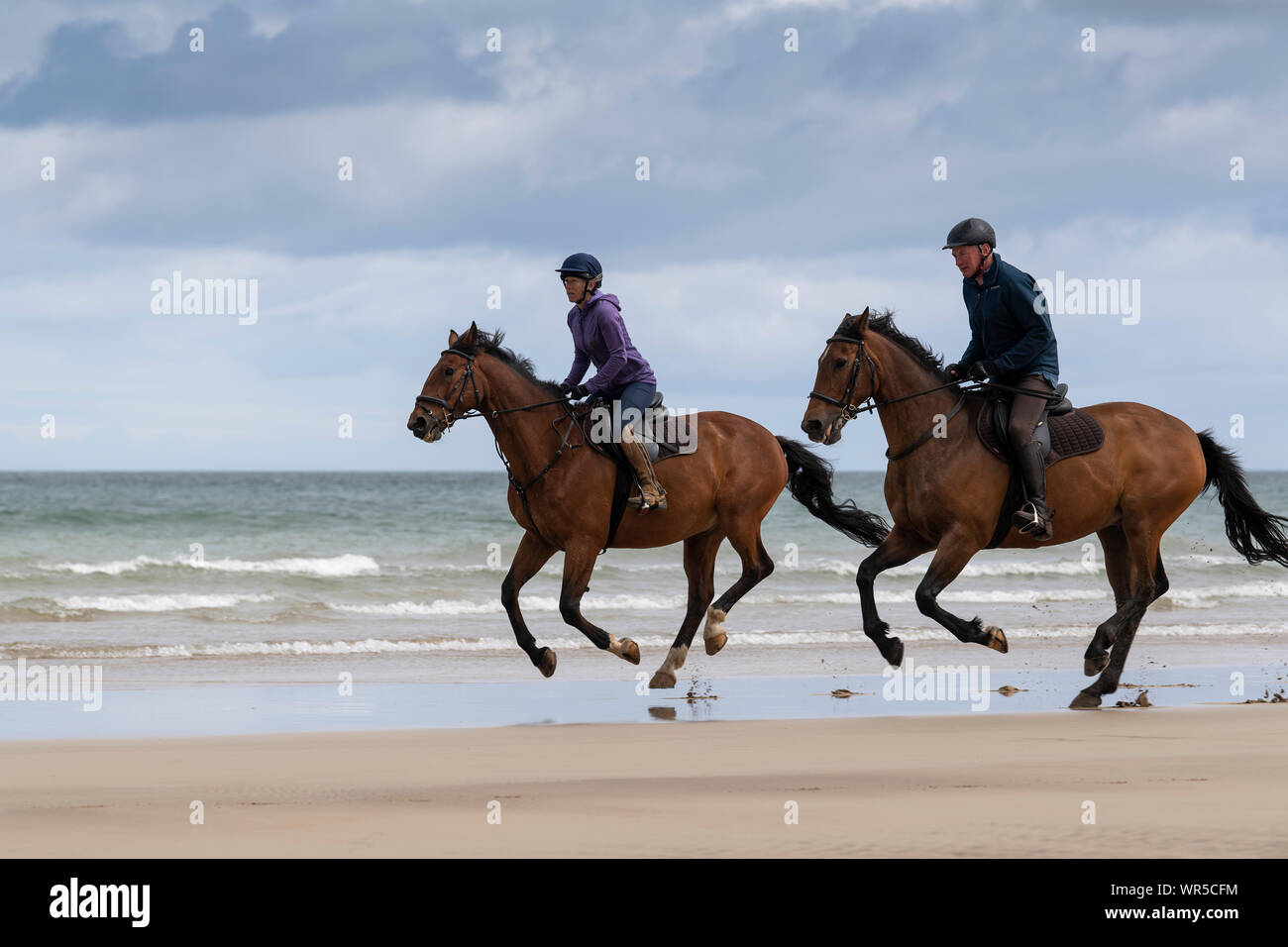 Mitfahrer der Ausübung ihrer Pferde auf benone Strand, Nordirland, Großbritannien. Stockfoto