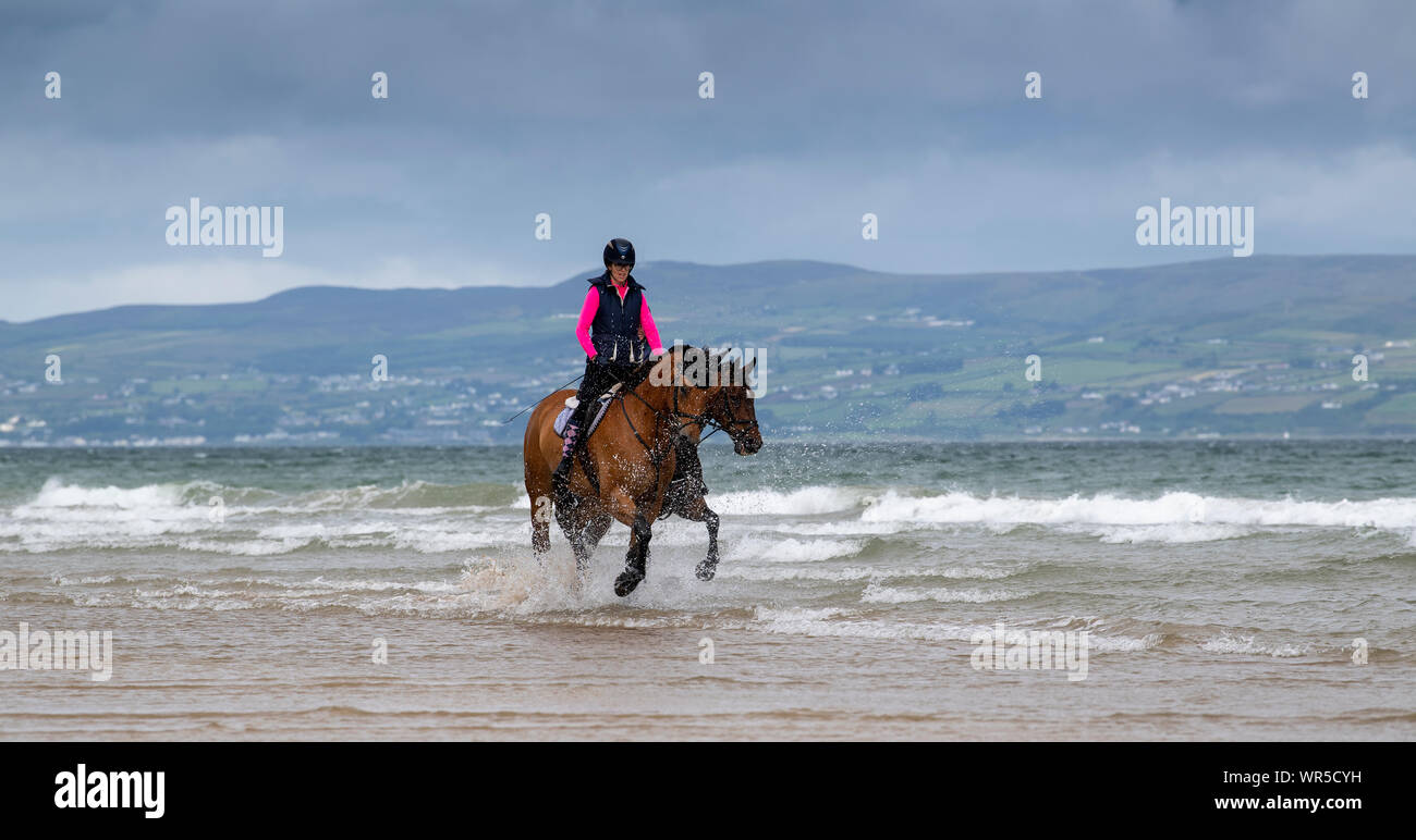 Mitfahrer der Ausübung ihrer Pferde am Rand von Meer am Strand Benone, Nordirland, Großbritannien. Stockfoto