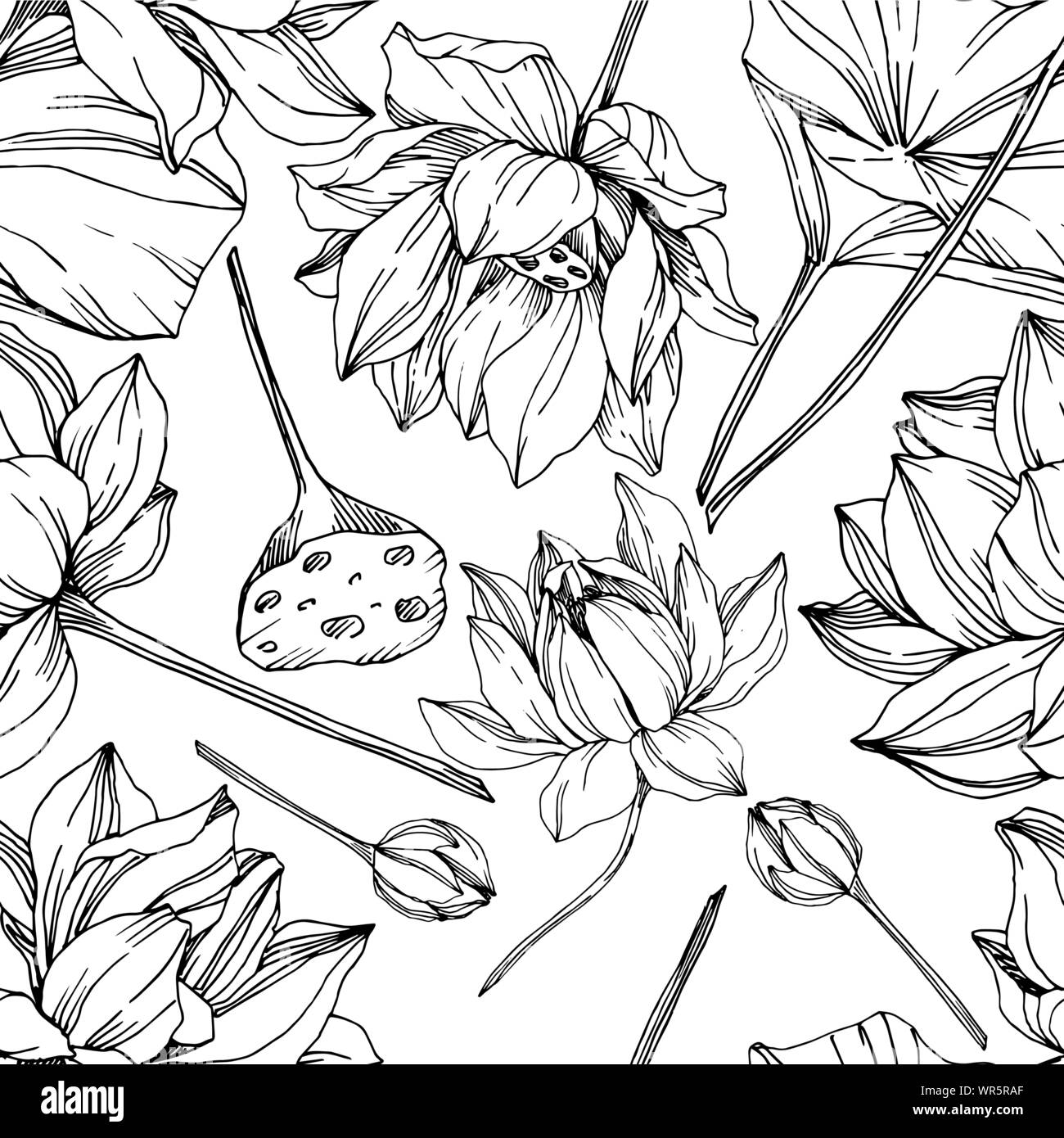 Vektor Lotus Blumen botanischen Blumen. Schwarz und weiß eingraviert Tinte Art nahtlose Muster. Stock Vektor
