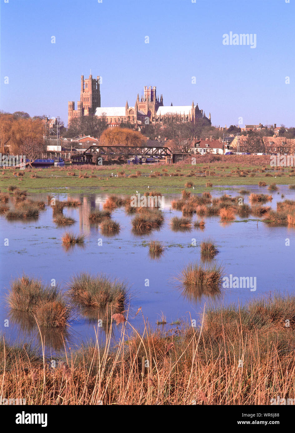 Ely Anglikanische Kathedrale South elevation Skyline über Landschaft des Flusses Great Ouse winter Überschwemmungsgebiet Feld unter Wasser Cambridgeshire East Anglia UK Stockfoto