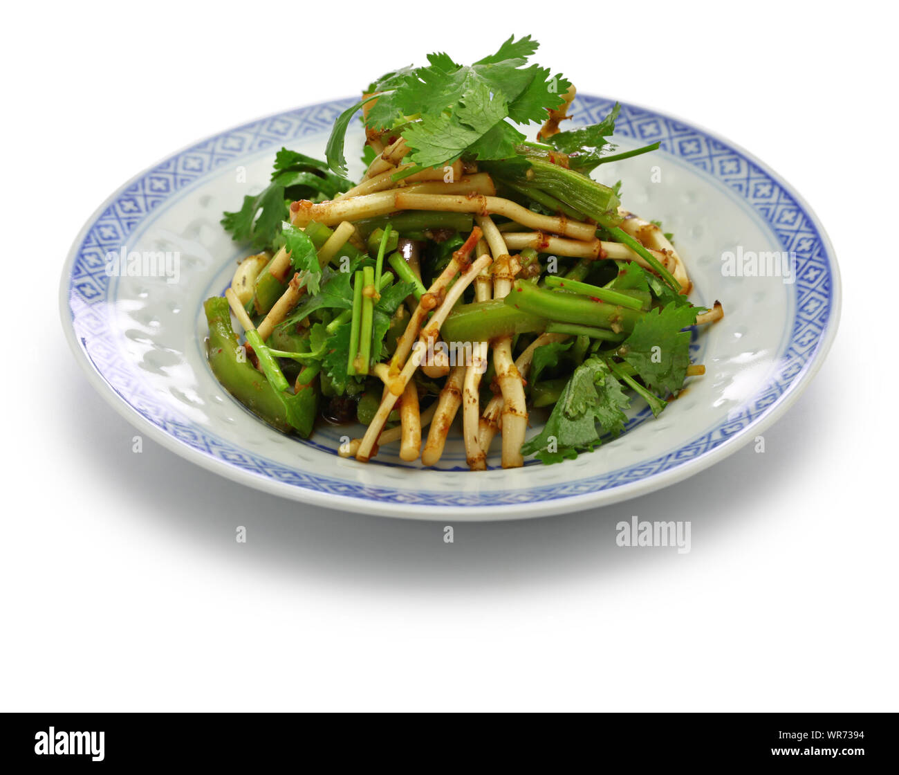 Chinesische Zhe 'ergen Salat, Fisch mint root-Salat, guizhou Küche Stockfoto