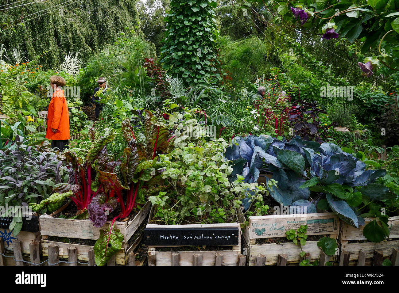 Pflanzen und Männer, Open air Ausstellung in Vincennes Park, Vincennes, Val-de-Marne, Region Île-de-France, Frankreich Stockfoto