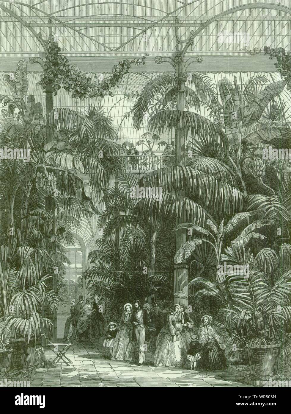 Kew Gardens. Zentrum des Großen Palmenhaus im Botanischen Garten 1852 Stockfoto