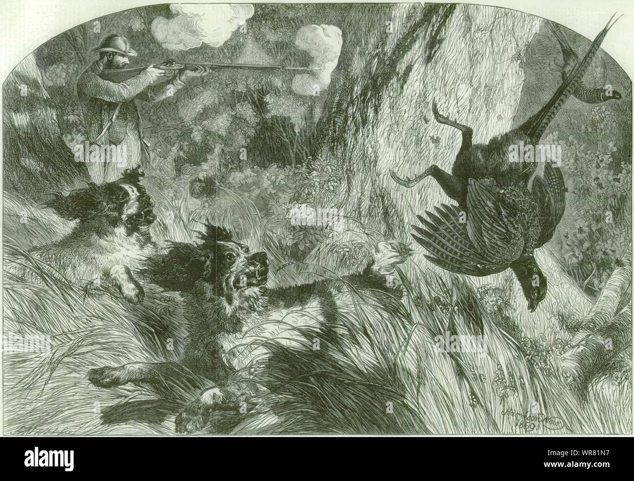Fasan Schießen, Rechts und Links. Jagd antike 1859 ILN volle Seite drucken Stockfoto