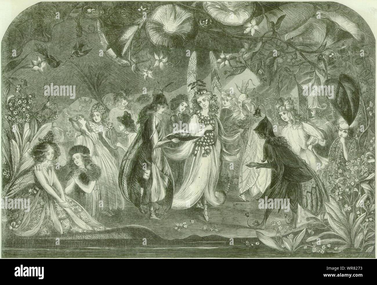 Lily's Ball. Fantasy 1863 Antike ILN volle Seite drucken Stockfoto