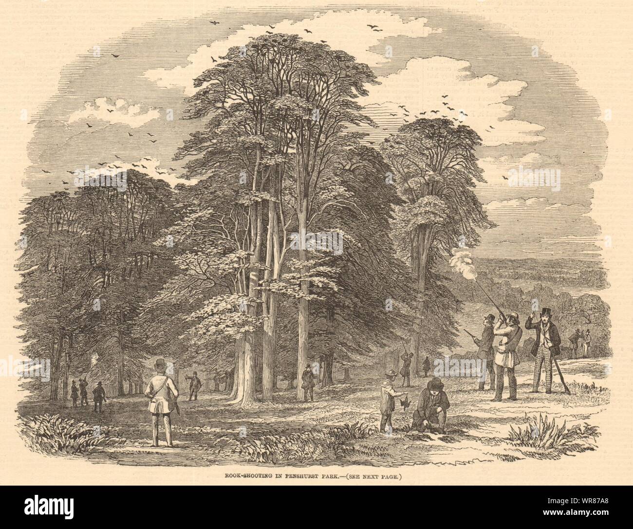 Turm - Schießen in Penshurst Park. Kent. Jagd 1850 Antike ILN volle Seite drucken Stockfoto