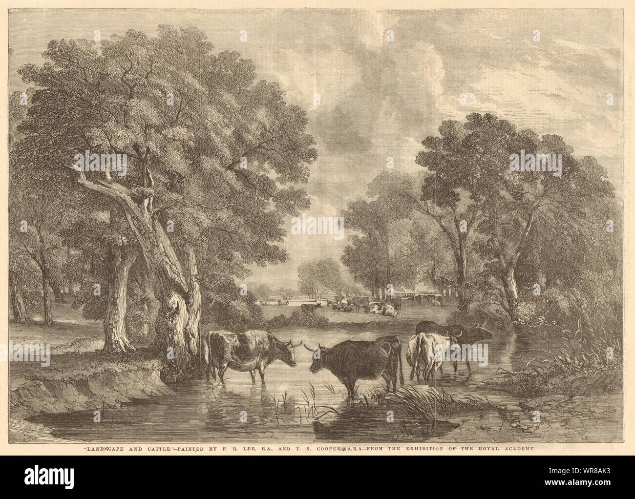 Landschaft & Rinder - von F.R. Lee,&T. S. Cooper, A.R.A. Bildende Kunst 1856 Stockfoto