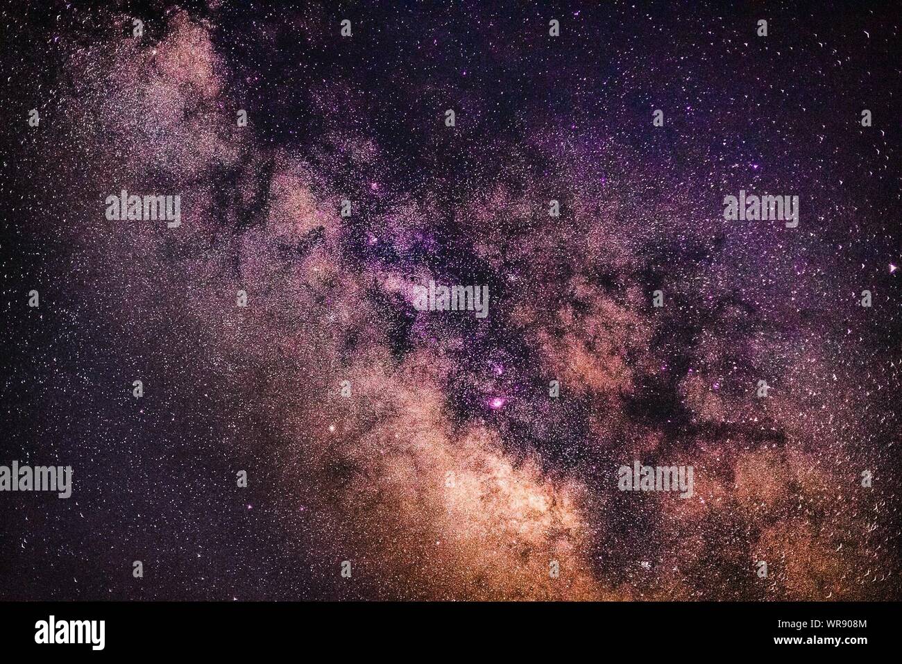 Low Angle Sicht auf den Himmel voller Sterne Stockfoto