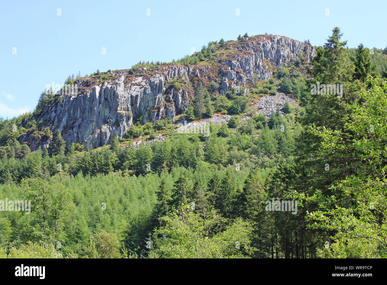 Carreg Alltrem - ein Felsen von rhyolit im Cwm Penamnen Tal, Dolwyddelan, Snowdonia National Park, Wales Stockfoto