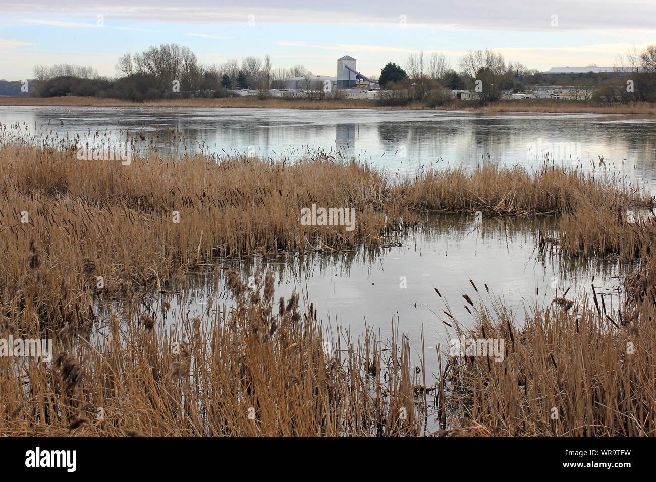 Marton Örtlicher Naturschutzgebiet, Blackpool, Lancashire, Großbritannien Stockfoto