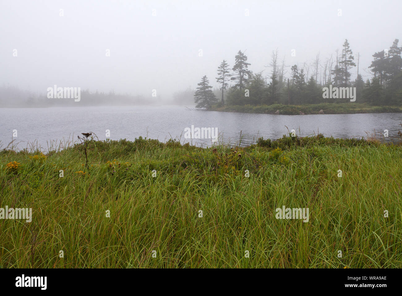 Nebel über langen Teich in der Nähe von Anchorage Provincial Park Grand Manan Island Bucht von Fundy New Brunswick Kanada August 2016 Stockfoto