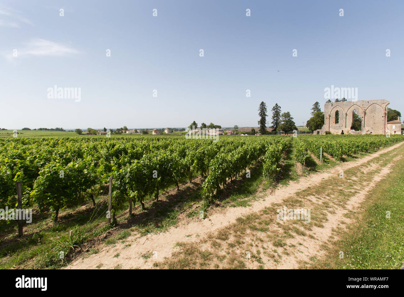 Stadt von Saint Emilion, Frankreich. Aussicht auf den malerischen Chateau Les Grandes Murailles mit Les Grandes Murailles (die Große Mauer) im Hintergrund. Stockfoto