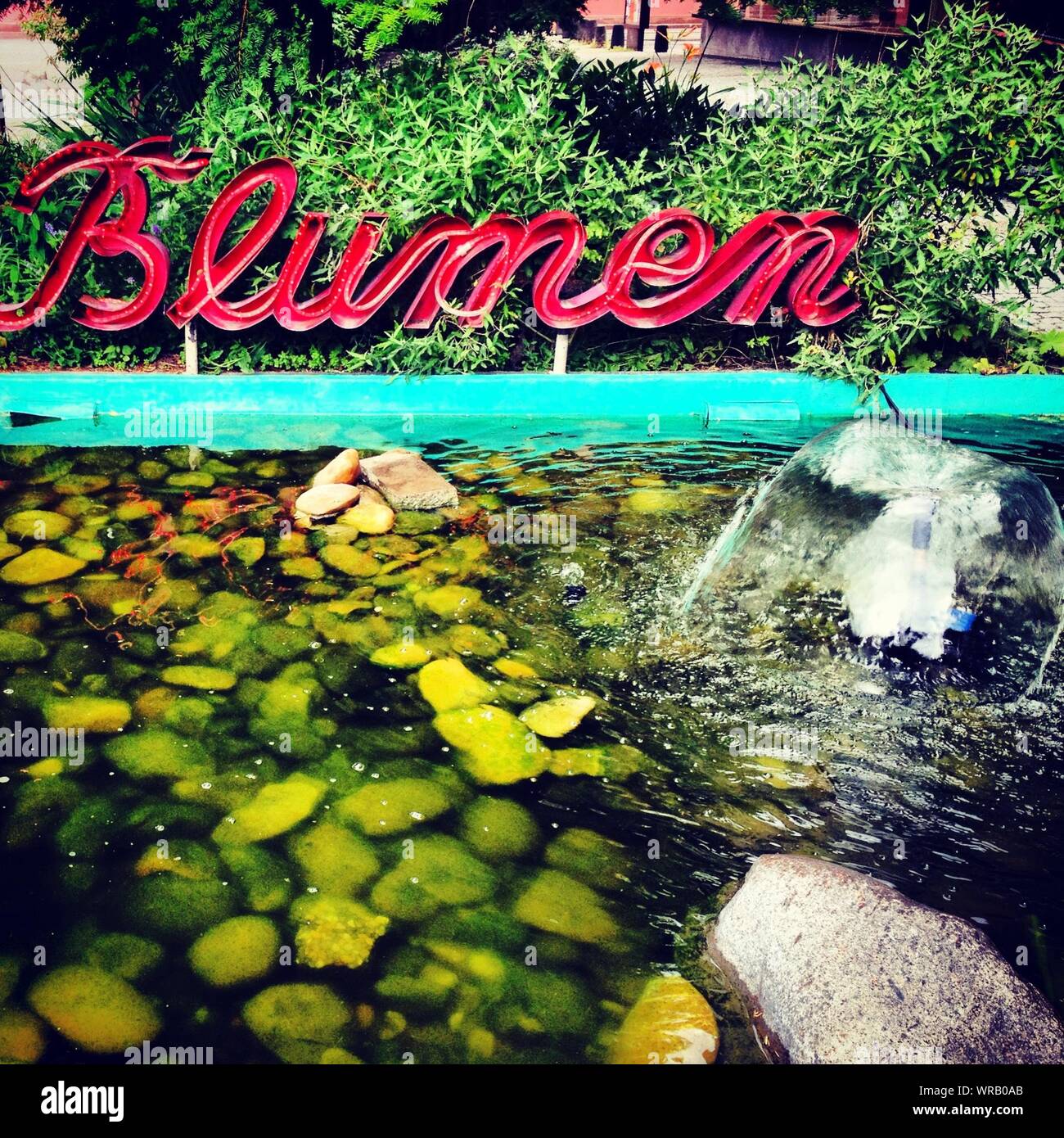 Verwunderlich Springbrunnen Im Teich Fotos