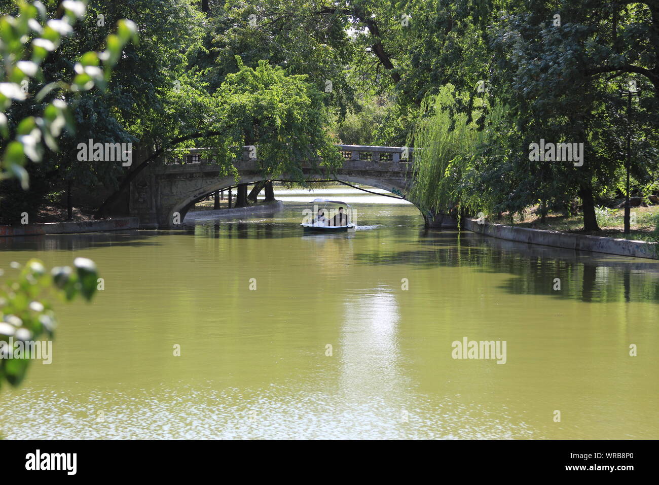 Parcul Cismigiu Stockfoto