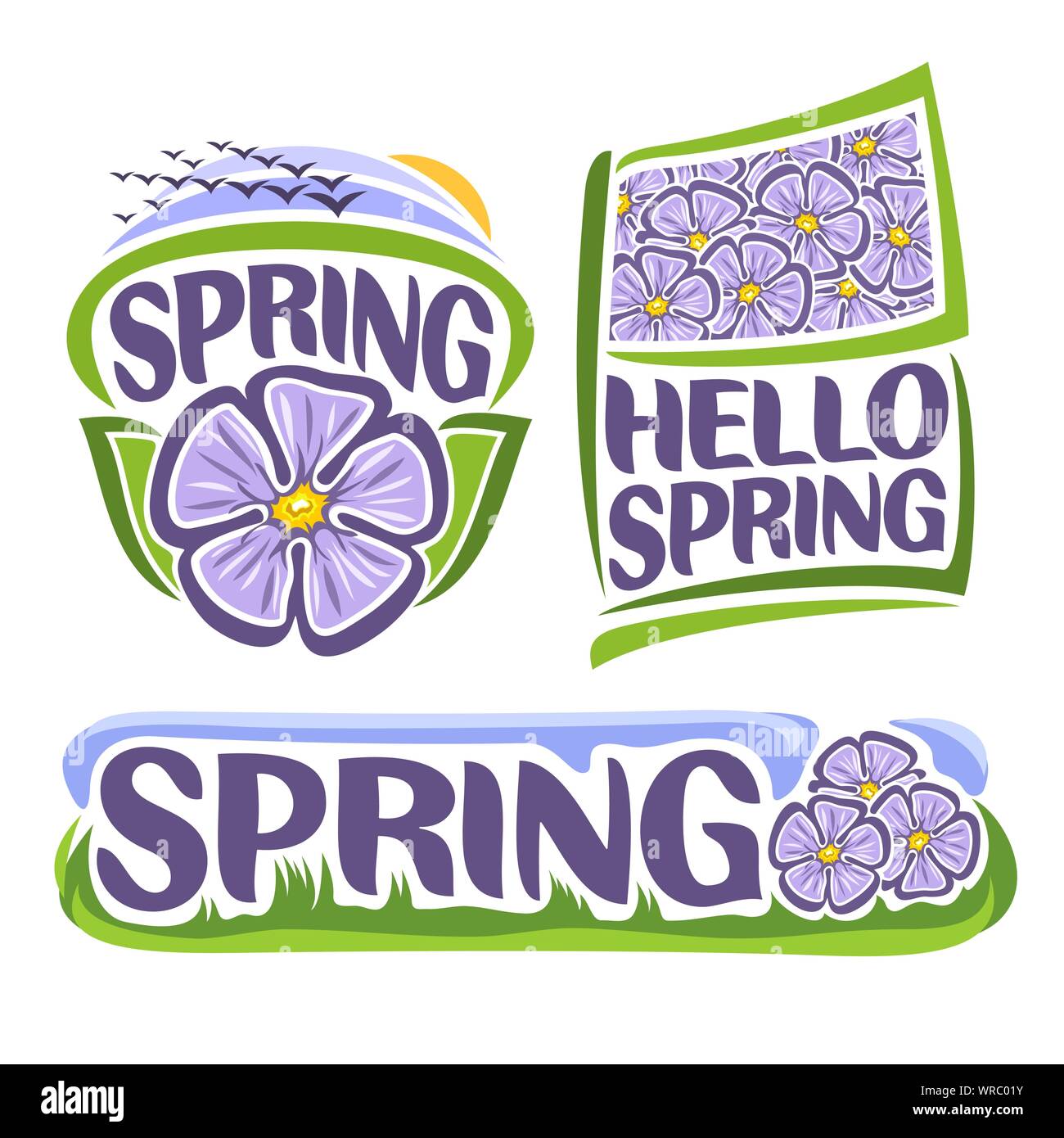 Vektor logo für Frühling Blumen: Icon für lila Hibiskus, Schwarm Vögel bei Sonnenaufgang, Fahne mit Lavendel floral background von Sharon Blume, Titel hallo Stock Vektor