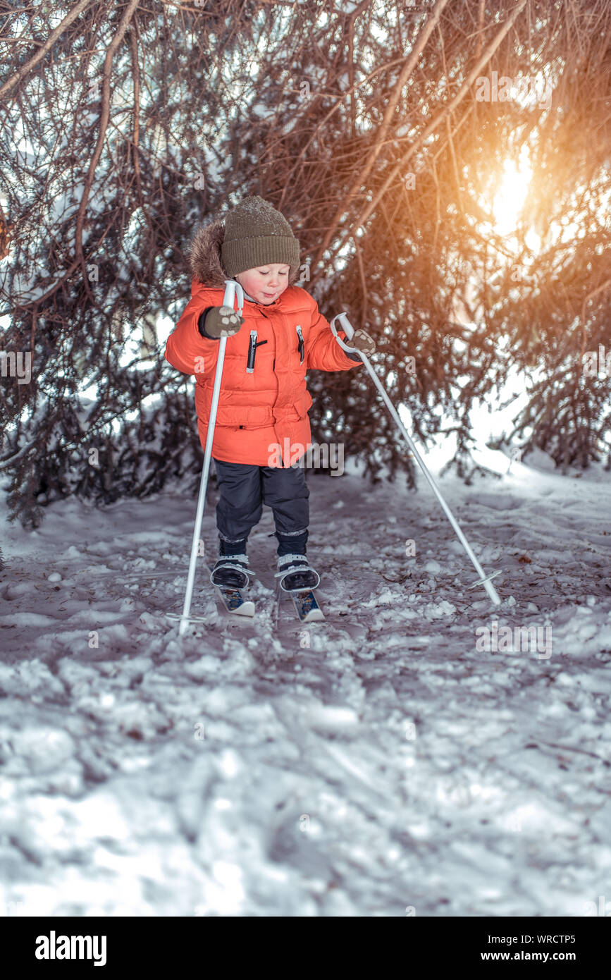 Kleinen Jungen 3-5 Jahre, Spaziergänge im Winter Kinder Ski, Hintergrund, grüne Zweige der Weihnachtsbaum, erste Schritte im Sport, ein glückliches Kind im Winter Stockfoto