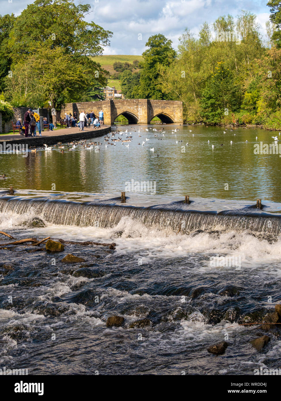Wehr und Bakewell Brücke, eine gewölbte Steinbrücke über den Fluss Wye in Bakewell, Derbyshire Dales district Derbyshire, Großbritannien. Stockfoto
