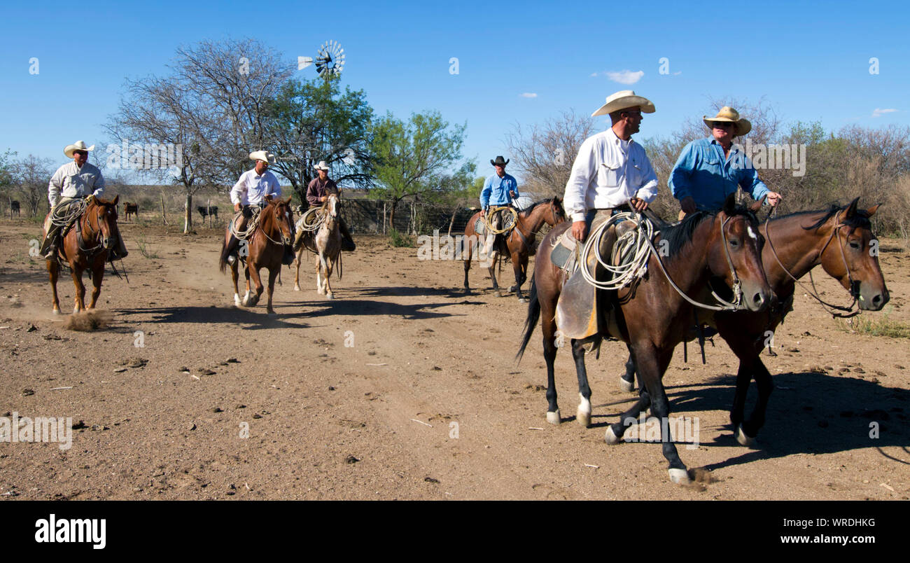 Cowboys reiten zu einem West Texas Ranch Hauptsitz am Ende eines Arbeitstages. Stockfoto