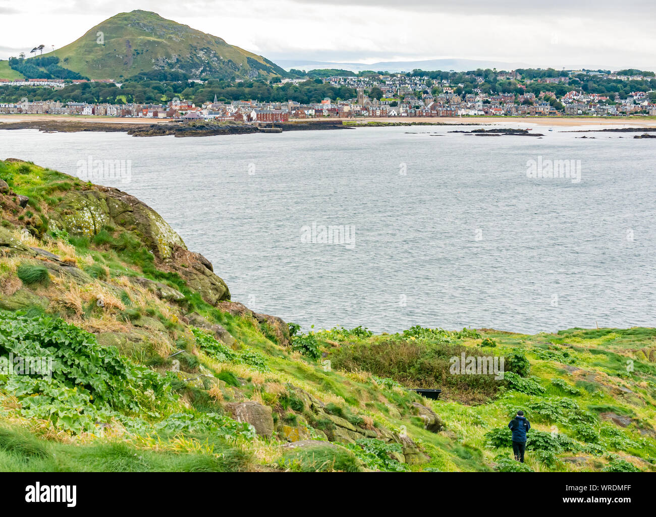 Anzeigen von Berwick Recht & North Berwick von Craigleith Insel, Firth-of-Forth, East Lothian, Schottland, Großbritannien Stockfoto