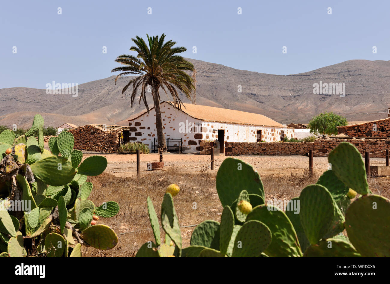 Traditionelles Haus in La Alcogida, Tefia. Fuerteventura, Kanarische Inseln. Spanien Stockfoto