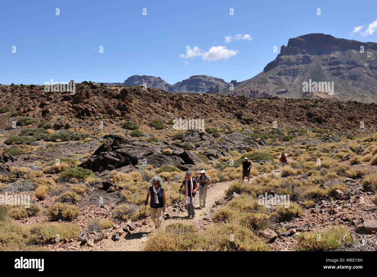 Teide National Park (Parque Nacional del Teide) ist um Vulkan Teide zentriert, 3718 m hoch, der höchste Berg von Spanien. Teneriffa, Kanarische Inseln. Stockfoto