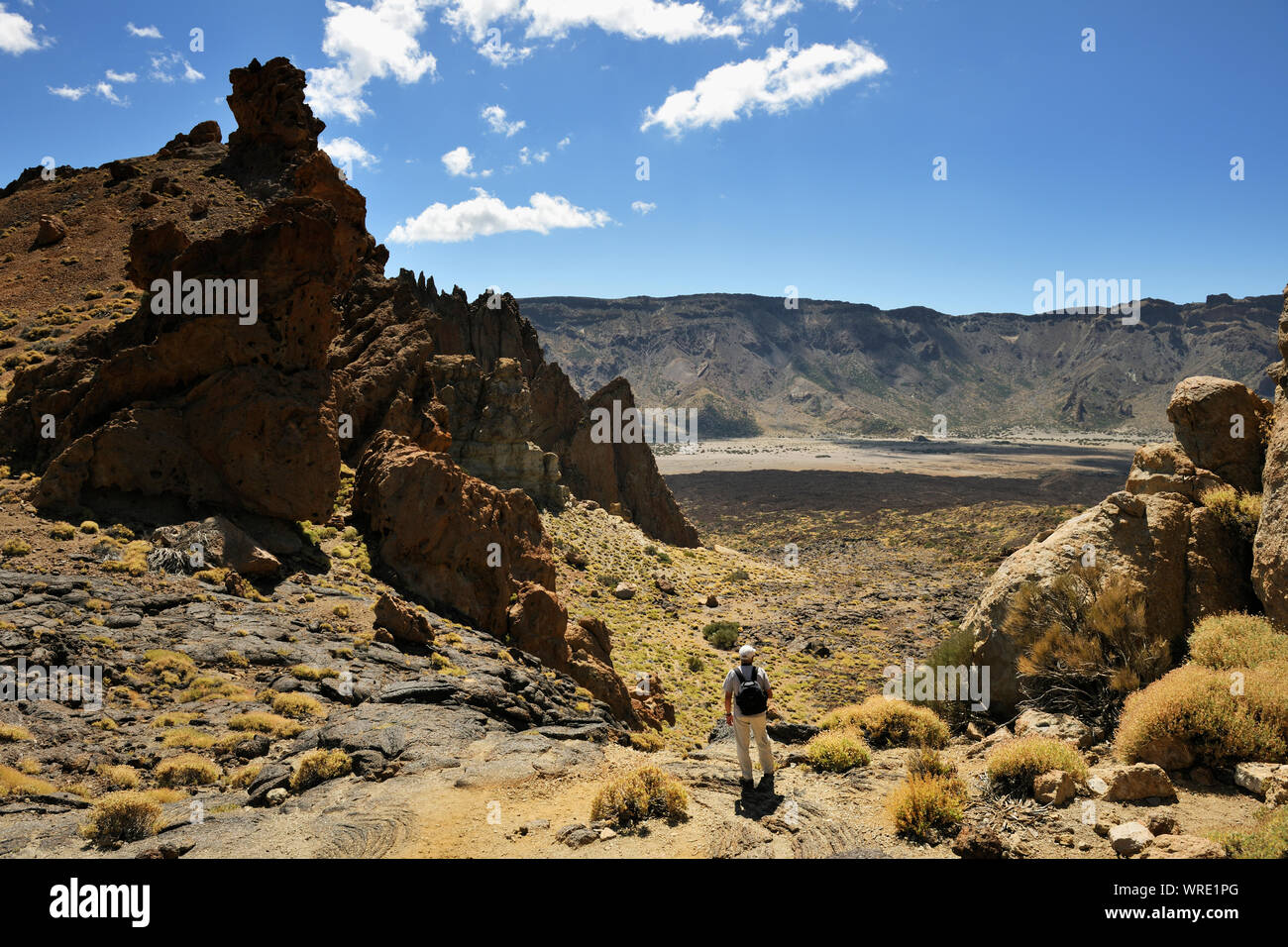Teide National Park (Parque Nacional del Teide) ist um Vulkan Teide zentriert, 3718 m hoch, der höchste Berg von Spanien. Teneriffa, Kanarische Inseln. Stockfoto