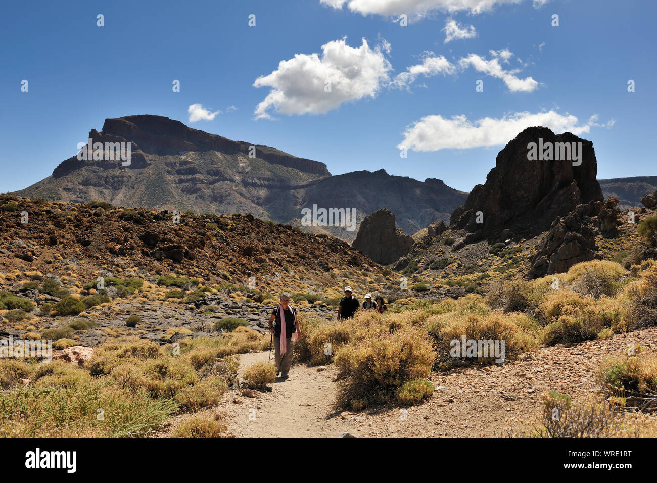 Teide National Park (Parque Nacional del Teide) ist um Vulkan Teide zentriert, 3718 m hoch, der höchste Berg von Spanien. Teneriffa, Kanarische Inseln. Stockfoto