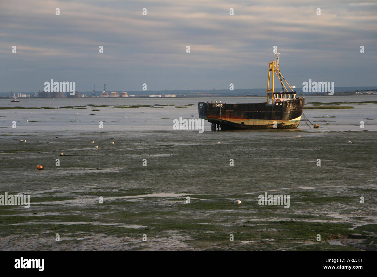 Thames Estuary aus Leigh-on-Sea Stockfoto