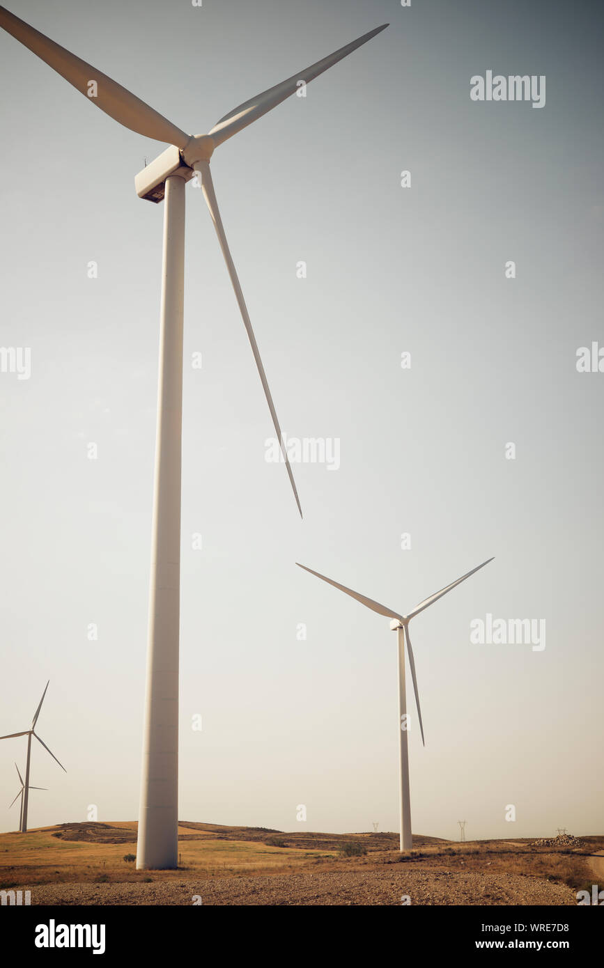 Windmühlen für erneuerbare elektrische Produktion in der Provinz Zaragoza, Aragon, Spanien. Stockfoto